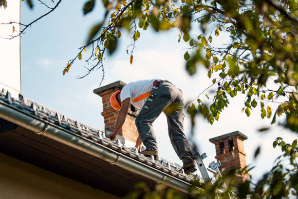 Best Flat Roof Repair Services  in Passapatanzy, VA