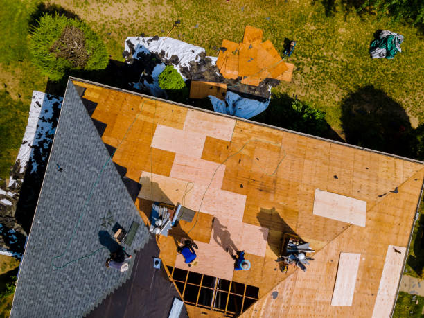 Reliable Passapatanzy, VA Roofing Contractor Solutions
